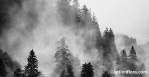 black-and-white-caption