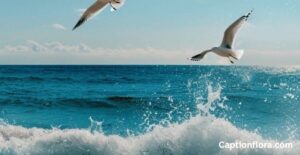 nature-captions-for-instagram