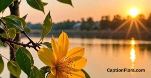 nature-instagram-captions