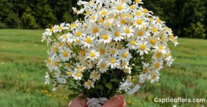flower-captions-for-instagram