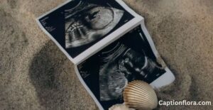 impregnation-captions