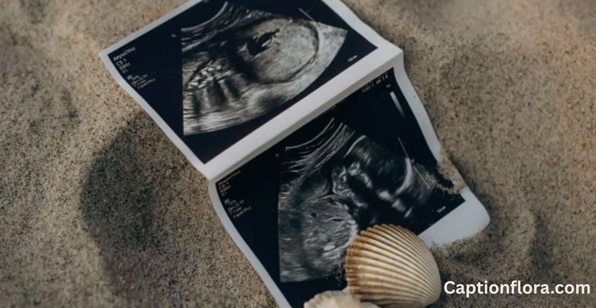 impregnation-captions